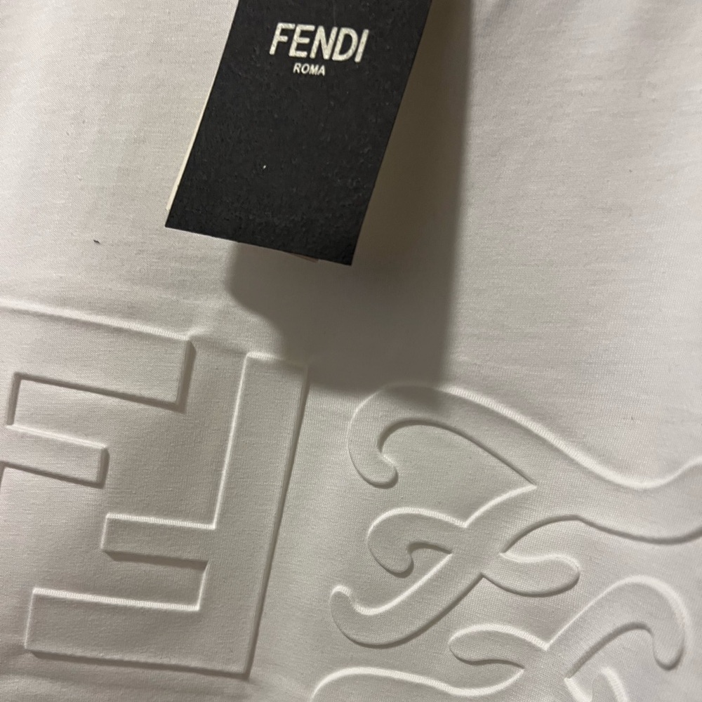 Fendi Men Tshirt M (Brand New)